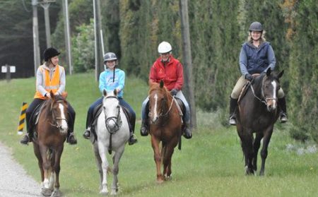 Mastering the Art of Horse Riding Commentary: Tips and Techniques